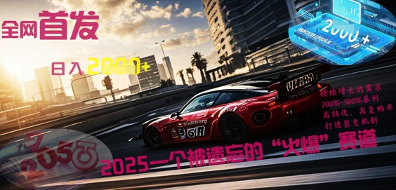 全网首发:2025一个被遗忘的“火爆”赛道轻松日入多张-十年资源网