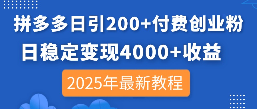(14217期)拼多多日引200+付费创业粉,日稳定变现4000+收益,2025年最新教程-十年资源网