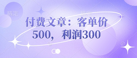 付费文章:客单价500,利润300-十年资源网