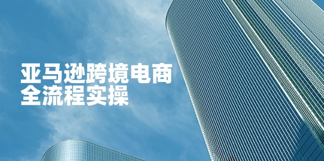 (14252期)亚马逊跨境电商全流程实操,教你从零开始,掌握店铺运营与广告技巧-十年资源网
