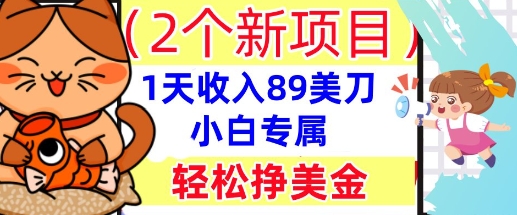 2个新项目,轻松挣美金, 1天收入89美刀,小白专属,干货分享-十年资源网