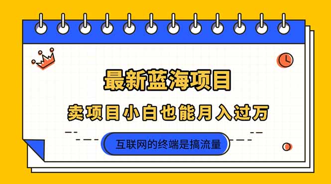 （14289期）2025年最新蓝海项目，卖项目小白也能月入过万-十年资源网