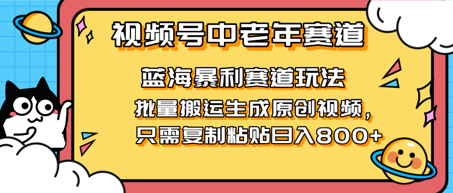 (14314期)2025视频号中老年短视频蓝海暴利风口!复制粘贴搬运视频单日赚800+,无...-十年资源网