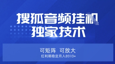 【搜狐音频挂G】独家技术,可矩阵可放大,红利期稳定月入8k【揭秘】-十年资源网