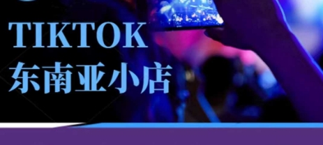Tiktok东南亚跨境小店运营班,一门专业的TK小店运营培训课-十年资源网