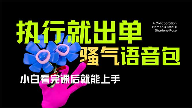 （14170期）爆火全网的开车导航骚气语音包,只要执行就出单，小白看完课程就能实操...-十年资源网