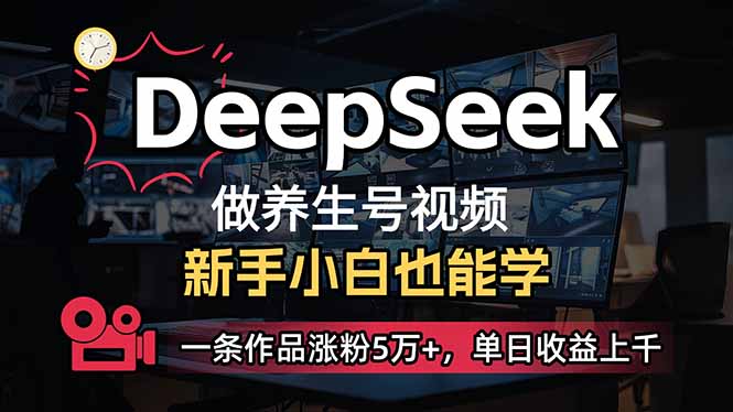 （14199期）小白用DeepSeek做养生号，一条作品涨粉5万+，单日收益上千-十年资源网