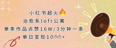 小红书超火的治愈系loft公寓，单条作品点赞16W，3分钟一条，单日变现数张-十年资源网