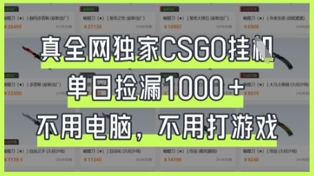 真全网独家CSGO挂G,单日捡漏1k+【揭秘】-十年资源网