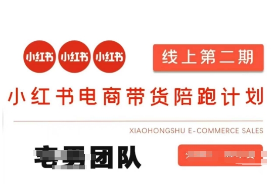 小红书电商带货课2期，月利润20个的小红书电商的有货源，无货源，虚拟产品，付费投流等整套玩法-十年资源网