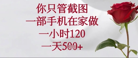 你只管截图,一部手机在家操作,一小时120.一天5张【揭秘】-十年资源网