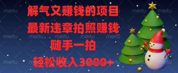 解气又挣钱的项目，最新违章拍照挣钱，随手一拍，轻松收入数张【揭秘】-十年资源网